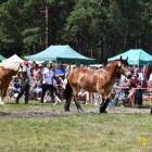 zdjęcie nr 74