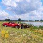 Fotka nr 2 z 4