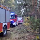 zdjęcie nr 48