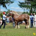 zdjęcie nr 196