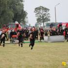 zdjęcie nr 243