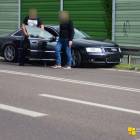Fotka nr 5 z 7