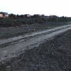 Fotka nr 5 z 7