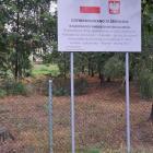 zdjęcie nr 14