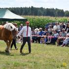 zdjęcie nr 143