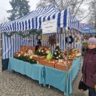 zdjęcie nr 40