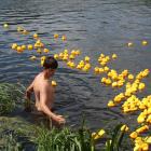 zdjęcie nr 86