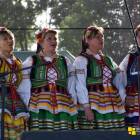 zdjęcie nr 134