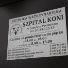 Fotka nr 5 z 6