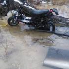 Fotka nr 2 z 3