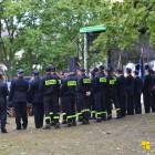 zdjęcie nr 11