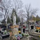zdjęcie nr 47