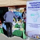 zdjęcie nr 27