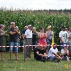 zdjęcie nr 181