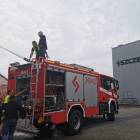 Fotka nr 4 z 12