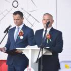 zdjęcie nr 166