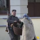 zdjęcie nr 24