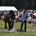 zdjęcie nr 120