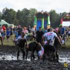 zdjęcie nr 23