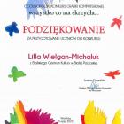 zdjęcie nr 12