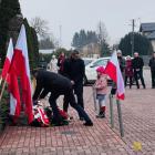 zdjęcie nr 15