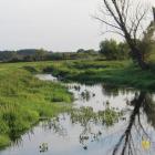 zdjęcie nr 113
