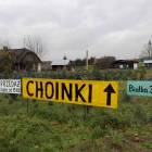 zdjęcie nr 13