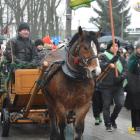 zdjęcie nr 34