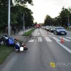Fotka nr 2 z 3