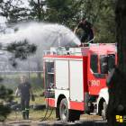 Fotka nr 4 z 12