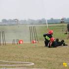 zdjęcie nr 226