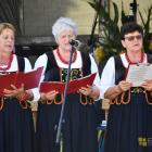 zdjęcie nr 153
