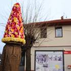 zdjęcie nr 64