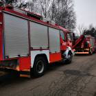 Fotka nr 2 z 6