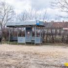 zdjęcie nr 7