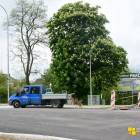 zdjęcie nr 14