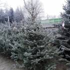 zdjęcie nr 38