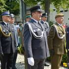 zdjęcie nr 35
