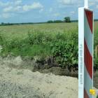 zdjęcie nr 55