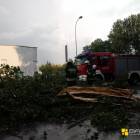 zdjęcie nr 18