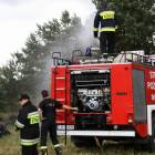 zdjęcie nr 124