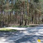 zdjęcie nr 28
