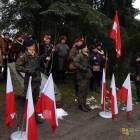 Fotka nr 5 z 94