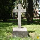 zdjęcie nr 51