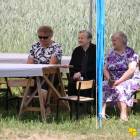zdjęcie nr 26