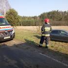 Fotka nr 1 z 4