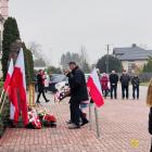 zdjęcie nr 14