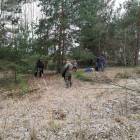 Fotka nr 3 z 14