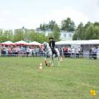 Fotka nr 2 z 12