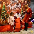 zdjęcie nr 23